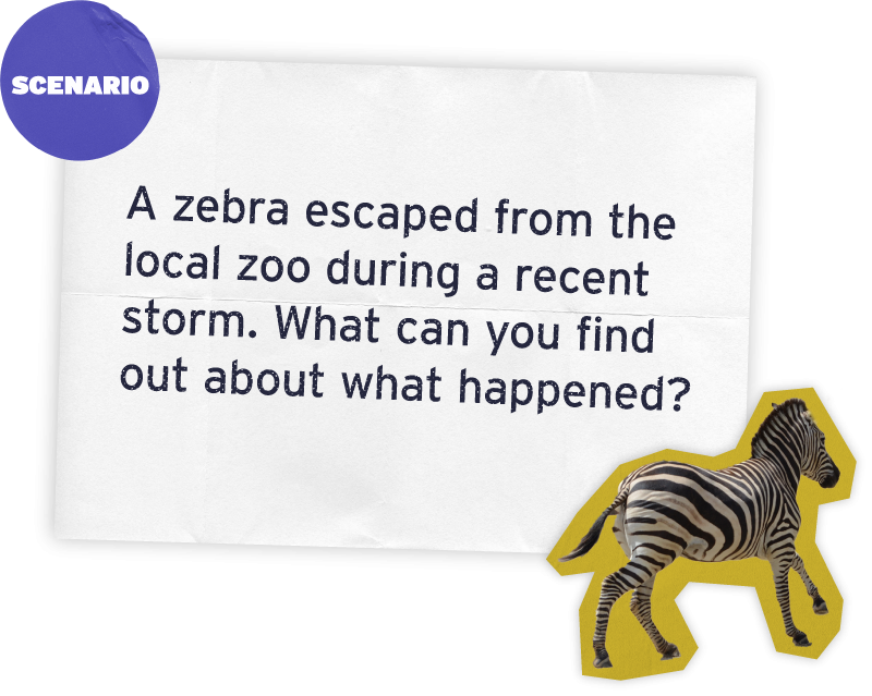 Scenario: A zebra escaped from the local zoo during a recent storm. What can you find out about what happened?