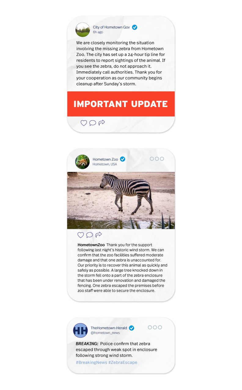 Three social media posts about the zebra situation. First post is from "City of Hometown Gov". Second post from "Hometown Zoo". Third post from "TheHometown-Herald".
